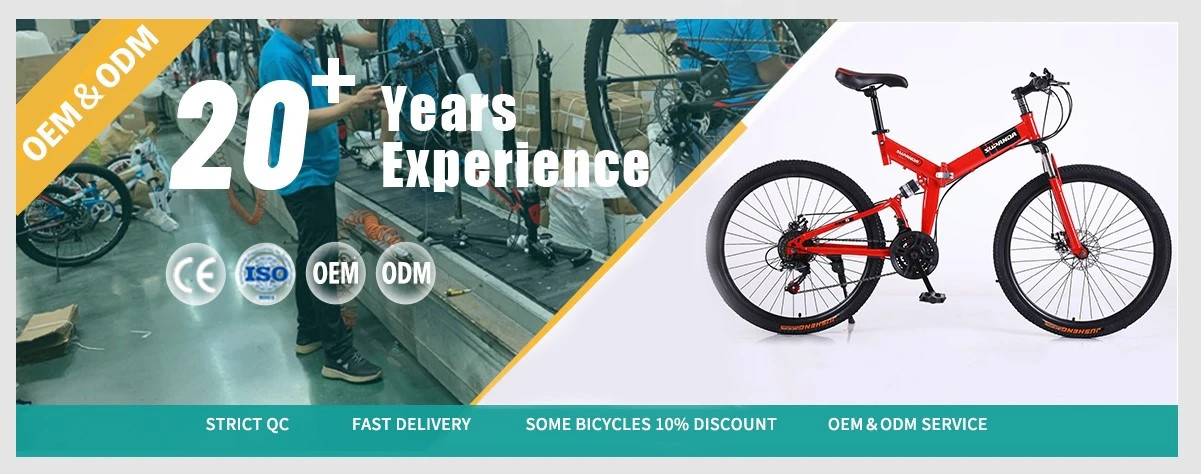 folding mountain Bike folding mountain Bike